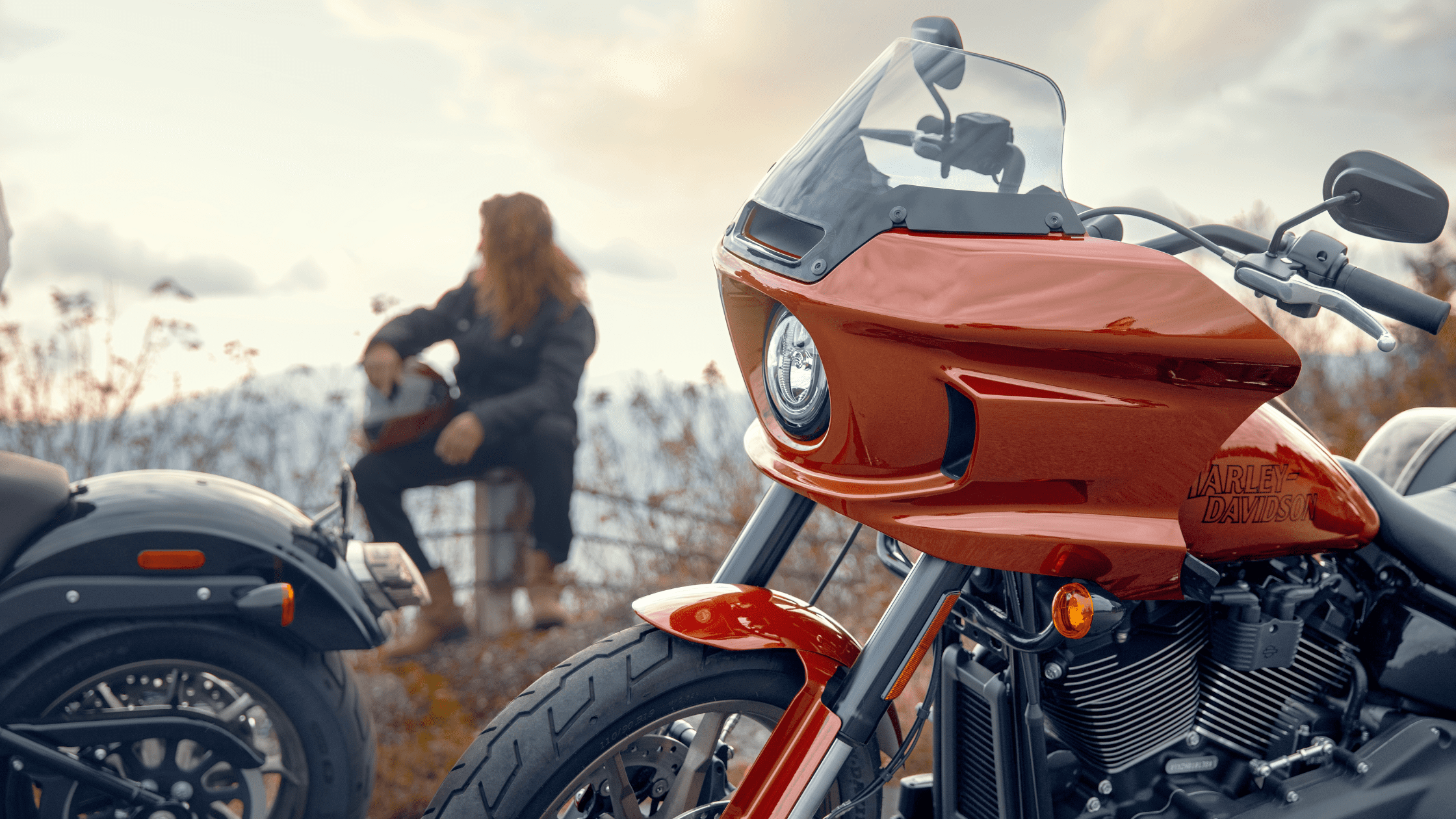 2024 Harley-Davidson® Low Rider® ST