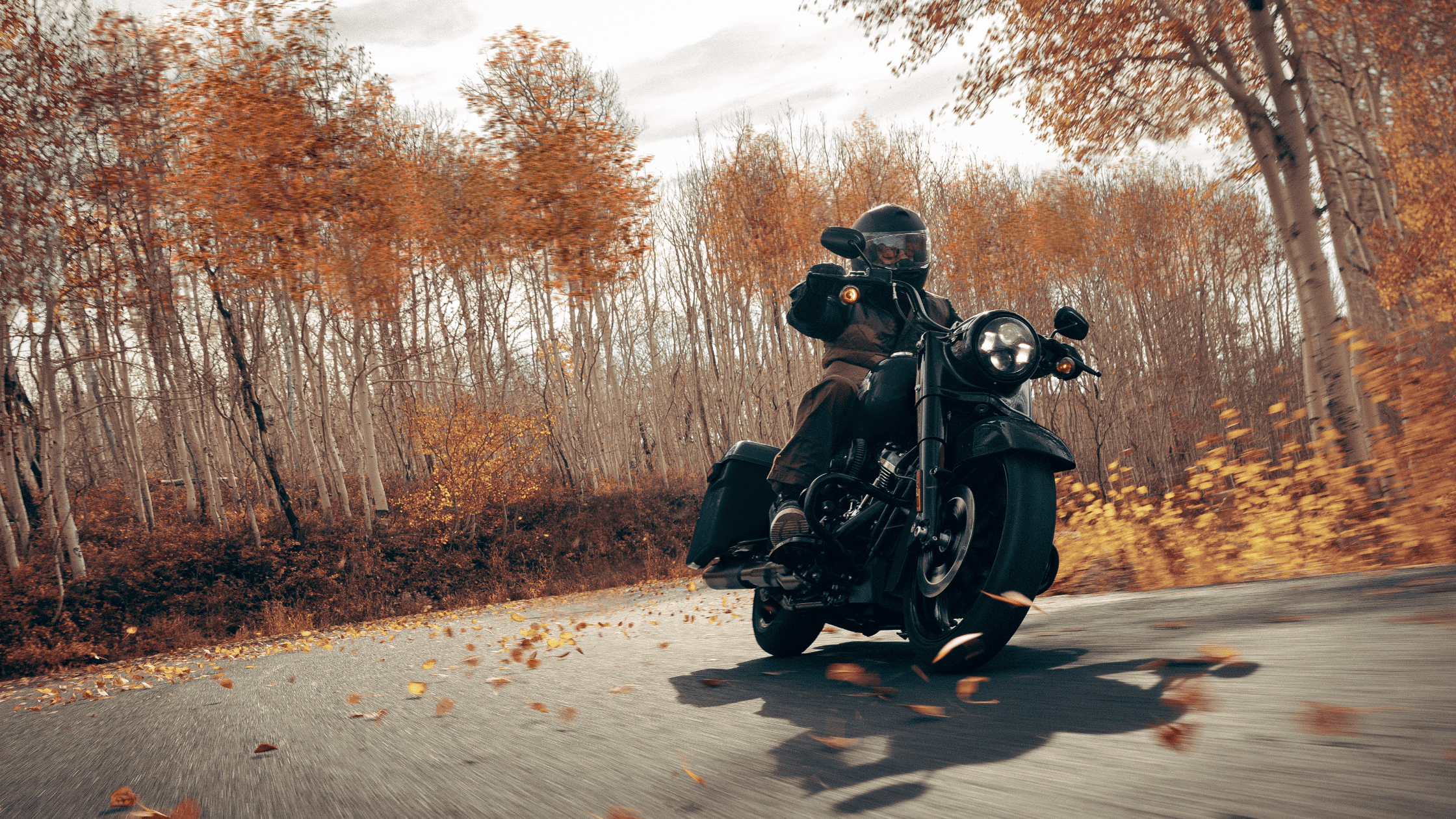 Rider cruising through vibrant autumn scenery on a 2024 Harley-Davidson® Road King® Special