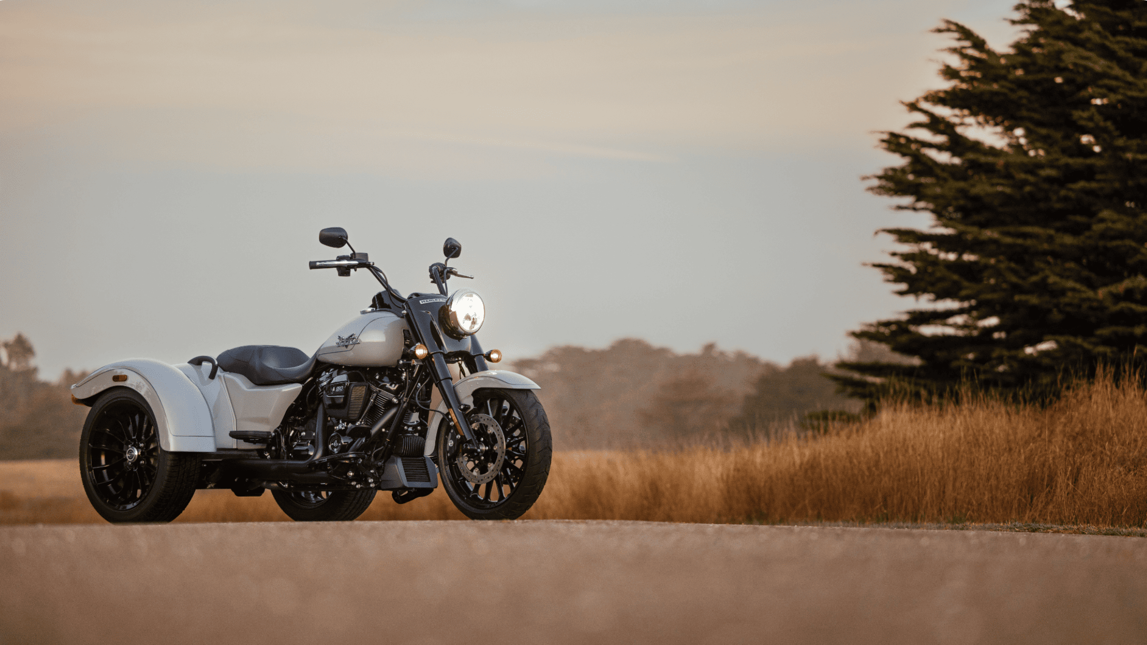 2025 Harley-Davidson® Freewheeler® trike parked on scenic countryside road under soft daylight